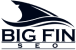 Big Fin SEO logo